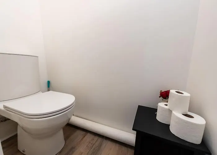 Le Saint Clement B Avec Salle De Sport Appartement *